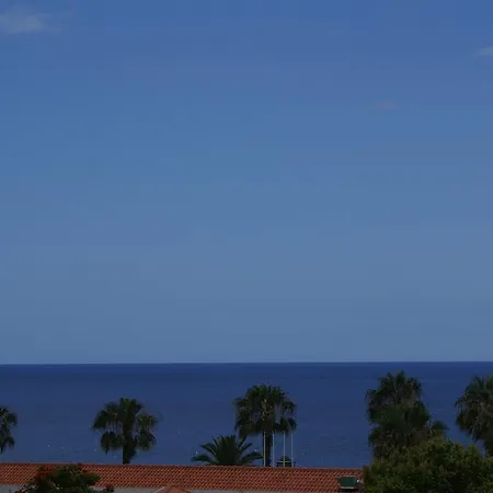 Loft Pacos Da Vila Ribeira Brava Exterior photo